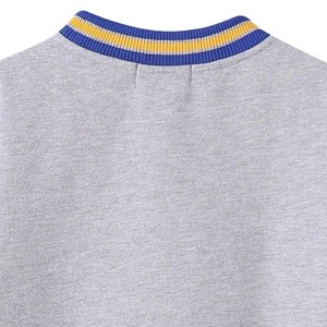 Sweat-shirt à col rond en chenille avec crête Sigma Gamma Rho pour femme, gris, bleu, jaune, à rayures, avec poche raglan, pull de sororité - Product Image 5