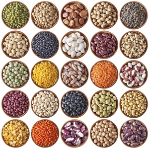 Light Speckled Kidney <b>Beans</b> Dried Long Shape Sugar <b>Beans</b> Bulk <b>Bagged</b> TZ453G 25kg 24 Months Food Use - Product Image 5