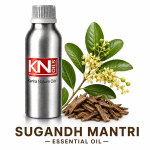 Huile Essentielle 100% Pure de Sugandh Mantri Homalomena aromatica, Vente en Gros, Fabricant et Exportateur Mondial - Product Image 1