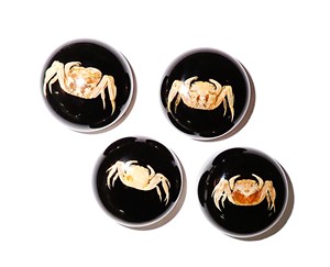 <b>Crab</b> Real Specimen Plastic Cabochon Round 25x25 mm Black Flat Bottom for Crafts and Jewelry Making - Product Image 4