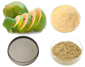 EXPORT STANDARD DRIED PAPAYA FRUIT POWDER - NUTRITIONAL CARICA PAPAYA POWDER WITH ISO HACCP - Product Image 3