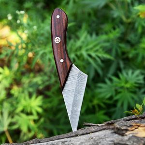 Custom Tactical Damascus Steel Fixed Hunting Camping Knife <b>Drop</b> Point Straight Finger Ring Wood Handle Leather Sheath USA Europe - Product Image 3
