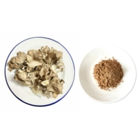 Thé santé à base d'extrait de champignon Maitake en poudre, 20% de bêta-glucane