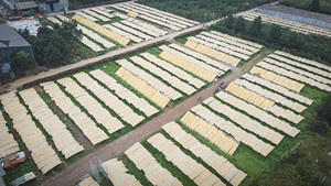Fideos de Arroz Secos Vietnamitas al por Mayor, Calidad Premium, Palitos Planos Tradicionales para Pho, Ingredientes Naturales, Seguros para Exportación, IIGLOBAL - Product Image 5