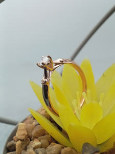 Anillo de compromiso clásico certificado para mujer, con diamante VVS cultivado en laboratorio, oro de 14k/18k, engaste de púas certificado - Product Image 5