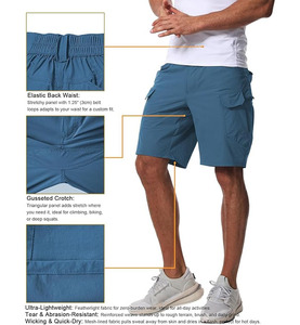 Shorts décontractés pour hommes en molleton 100 % coton, coupe classique, taille haute élastique, anti-plis, multi-poches, couleur personnalisée brodée - Product Image 4