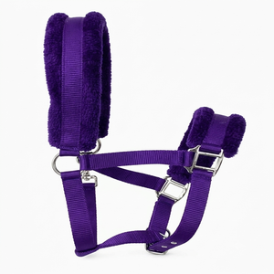 Fournisseur d'usine en gros : Licol pour cheval en nylon bleu avec rembourrage en polaire et doubles boucles métalliques réglables - Product Image 3