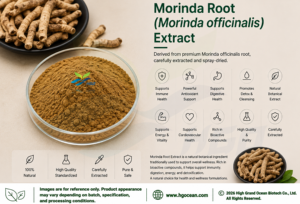 Approvisionnement direct d'usine HGO en extrait de racine de Morinda (officinalis) naturel pur (qualité alimentaire) spécification 10:1 (extrait de rapport) - Product Image 2