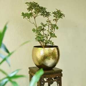 Pot de fleurs en cuivre martelé avec pieds en forme d'épingle à cheveux, support rond en laiton pour plantes d'intérieur, conteneur en métal - Product Image 4