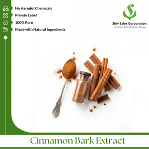 Extrait de Cannelle Commerciale pour les Développeurs de Saveurs Cherchant une Expérience Sensorielle Authentique et une Approvisionnement Fiable en Gros - Product Image 4