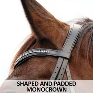 Premium quality English saddle style horse bridle and <b>halter</b> made from genuine leather for outdoor equestrian use - Product Image 4