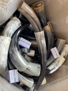 Par de Cuernos de Longhorn Pulidos para Decoración de Pared, Diseño Art Deco Ecológico, Grandes de 10 y 18 Pulgadas, para Bodas, Cumpleaños, Aniversarios, Año Nuevo - Product Image 4