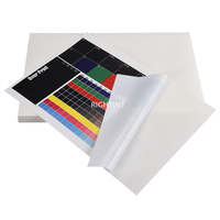 Rollo de Papel Autoadhesivo de Alta Calidad, Impermeable, Mate, Blanco, de Polipropileno, con Adhesivo Fuerte para Etiquetas Personalizadas de Marca Privada