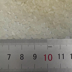 Arroz Japonés de Grano Corto de Lujo, 5% de Grano Partido, Seco, de Vietnam, para Rollos de Sushi, Suministro al por Mayor - Product Image 1