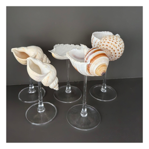 Verre à vin artisanal en coquillage naturel, écologique, en forme de conque, à long pied, design original pour cadeaux de mariage, dîner de luxe - Product Image 2