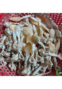 Luxury Mother Of Pearl Spoon Natural Seashell Tableware With Customized Design OEM Private Label Service - Product Image 1