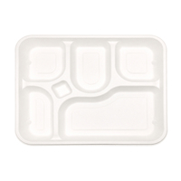 5 CP Assiettes jetables robustes en bagasse, écologiques, compostables, biodégradables, micro-ondables, pour repas, mariages et fêtes