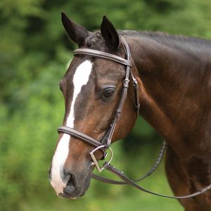 Fabricante y Mayorista de Artículos Ecuestres de Cuero de Alta Gama, Línea de Productos de Equipo para Caballos - Product Image 1