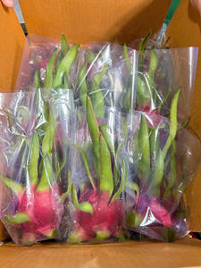 Fruit du Dragon frais Vietnam qualité d'exportation chair blanche et chair rouge disponible longue durée de conservation emballage 4kg 9kg boîte en Carton - Product Image 3