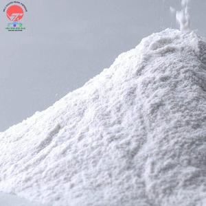 Source de confiance pour le composant essentiel de carbonate de calcium dans les industries de revêtement et de peinture - Product Image 2