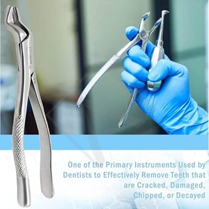 Pinza de Extracción Reutilizable de la Mejor Calidad, Certificada por la CE, Herramientas Quirúrgicas de Ortodoncia Profesionales, Acero Inoxidable Premium Dental - Product Image 4