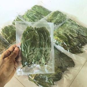 Organic Fermented Dried Soursop Leaves Broken Black <b>Tea</b> Vietnam Health <b>Tea</b> Non Sugar Grade a 100% Pure 25 <b>Tea</b> Bags <b>Box</b> - Product Image 1