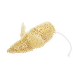 Jouet pour animaux de compagnie en loofah pas cher en gros - Fibre organique à mâcher pour petits animaux - Éponge dentaire pour animaux de compagnie en forme de poisson et d'os - Product Image 1
