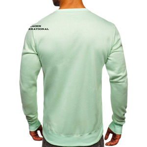 <b>Men's</b> Mint Green Crewneck Sweatshirt Regular Fit Solid Color Casual <b>Pullover</b> Knitted Cotton Autumn Wear - Product Image 2