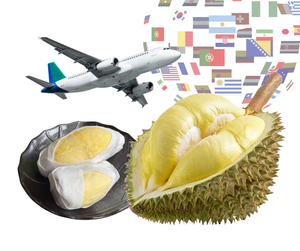 Durian Monthong Fresco de Tailandia, Premium, Dulce y Cremoso, Pulpa de Durian Monthong Tailandesa Congelada, Alta Calidad de Exportación, Durian Tailandés Fresco - Product Image 1