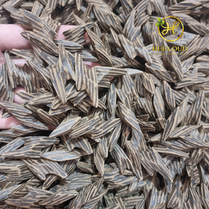 HUFA OUD HP TO2 Bois d'Oud Tigre Traditionnel du Vietnam Pur Naturel - Product Image 1