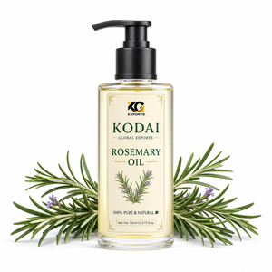 น้ำมันโรสแมรี่โคได 100% บริสุทธิ์จากธรรมชาติ ชนิดน้ำ พร้อมปลั๊กแบบ US สำหรับดูแลผิวและเส้นผม จากทัมมิลนาฏ - Product Image 1