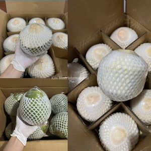 มะพร้าวเขียวสดจากฟาร์มเวียดนามโดยตรงสำหรับผู้ซื้อระหว่างประเทศ - Product Image 6