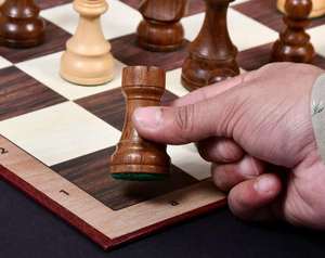 Jeu d'échecs Staunton Premium, style chevalier allemand, en sheesham et bois de buis, roi de 3,75 pouces, édition tournoi classique, au meilleur prix - Product Image 1