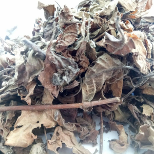 Feuilles brutes de gelée de varech du Vietnam authentiques pour la restauration et la production de cubes de gelée noire de qualité constante - Product Image 3
