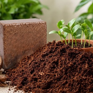 Coco <b>Coir</b> <b>Blocks</b> Premium Super Washed Low EC High Quality Organic pH Balanced - Product Image 1