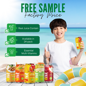 Vendeur chaud 330ml ISO HALAL KOSHER jus de fruits de noix de cajou naturel marque privée OEM ODM filtré prix de gros fabricant - Product Image 3