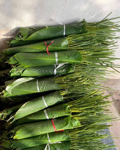 Hojas de Dong Congeladas de Calidad de Exportación, Origen Vietnam - Product Image 3