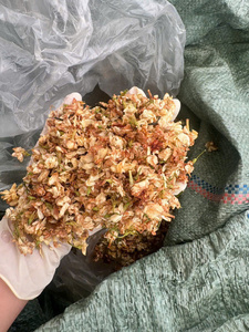 Pétales de jasmin frais - Ingrédient clé idéal pour les mélanges de thé au jasmin de luxe Origine Vietnam Durée de conservation de 12 mois - Product Image 6
