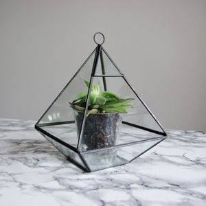 Terrario Geométrico de Vidrio Chapado en Oro, Maceta Colgante para Suculentas, Diseño Moderno y Minimalista para Plantas de Interior - Product Image 4
