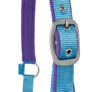 Cabestro de nailon azul para caballo con acolchado morado y hebillas metálicas - Product Image 6