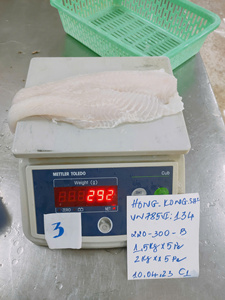 Filete de Panga Blanco Congelado IQF de Grado Exportación VH Food, Personalizable con Glaseado 0-20%, Bajo en Carbohidratos, 10-12cm, Etiqueta Privada Personalizada - Product Image 2