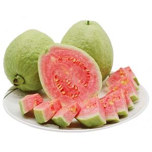 Guava surgelée IQF, emballage personnalisé, usine de guava surgelée, exportateur de guava surgelée, meilleur prix ANGLE - Product Image 5