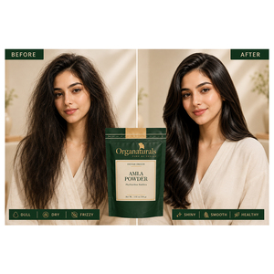 Polvo de Amla a Granel, Polvo de Fruta Premium para Procesamiento de Alimentos y Formulaciones Herbales - Product Image 2