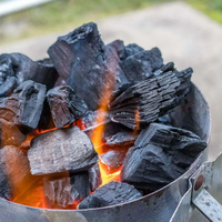 Charbon de bois de café à haute teneur en carbone fixe du Vietnam pour barbecue, faible humidité, faible fumée