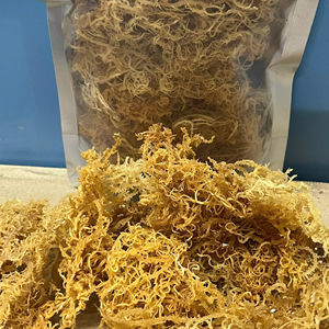 Wholesale Price <b>Raw</b> Sun-Dried White <b>Sea</b> <b>Moss</b> (Eucheuma cottonii) – Vietnam Supplier, Bulk Packing - Product Image 1