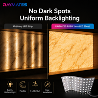 Feuille LED Flexible Ultra Fine RGBW DC24V 72 LED avec Lentille SMD5050 Personnalisable pour Publicité et Rétroéclairage Marbre