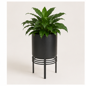 Macetero Moderno de Metal Negro Mate para Interiores con Soporte, Maceta Minimalista de Pie para Decoración del Hogar, Oficina y Sala de Estar - Product Image 1
