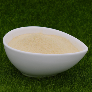 Calcio Ácido para Césped y Plantas Ornamentales, Polvo de Calcio Ácido Premium para Mejorar el Suelo - Product Image 3