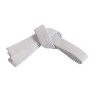 Ceinture de karaté personnalisée brodée promotionnelle avec nom et logo personnalisés, unisexe, arts martiaux, séchage rapide - Product Image 2