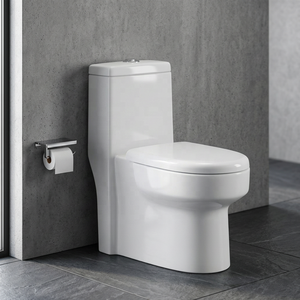 WC monobloc de style sud-américain en céramique à siphon, à double chasse, à poser au sol, pour salles de bain et projets extérieurs - Product Image 5